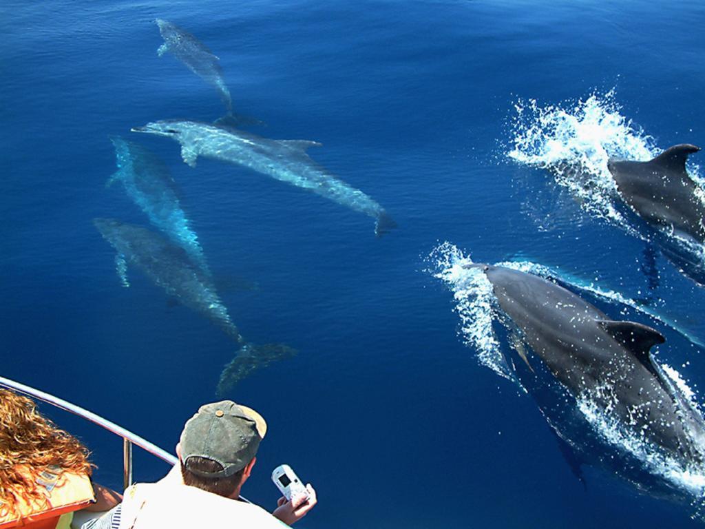 Batuta Maldives Surf View Otel Thulusdhoo Dış mekan fotoğraf